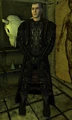 Rubin's full model in Pathologic Classic HD