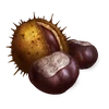 Chestnuts