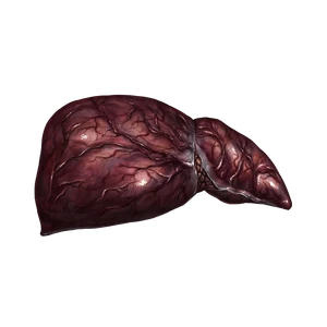 InfectedLiver