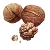 Walnuts