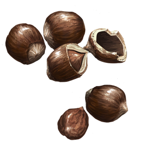 nuts wiki