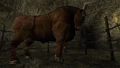 An aurochs in Pathologic Classic HD