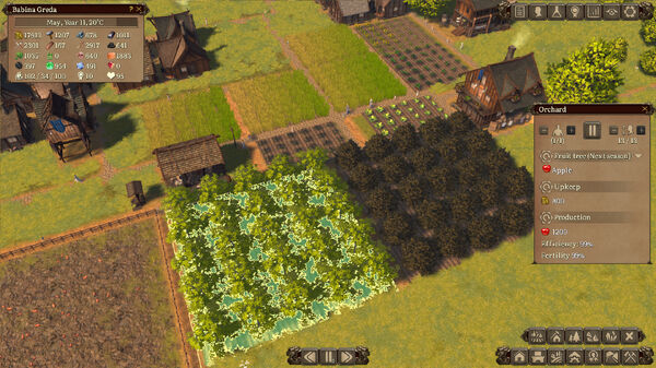 Orchard.jpg