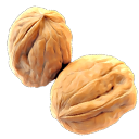 Walnuts.png