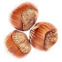 Hazelnuts.png