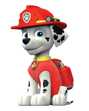 Marshall Wikia Patrulha Canina Fandom Imagens de patrulha canina para colorir dicas praticas. marshall wikia patrulha canina fandom