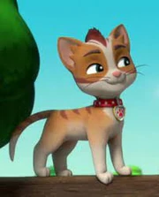 Turma felina | Wikia Patrulha Canina | Fandom