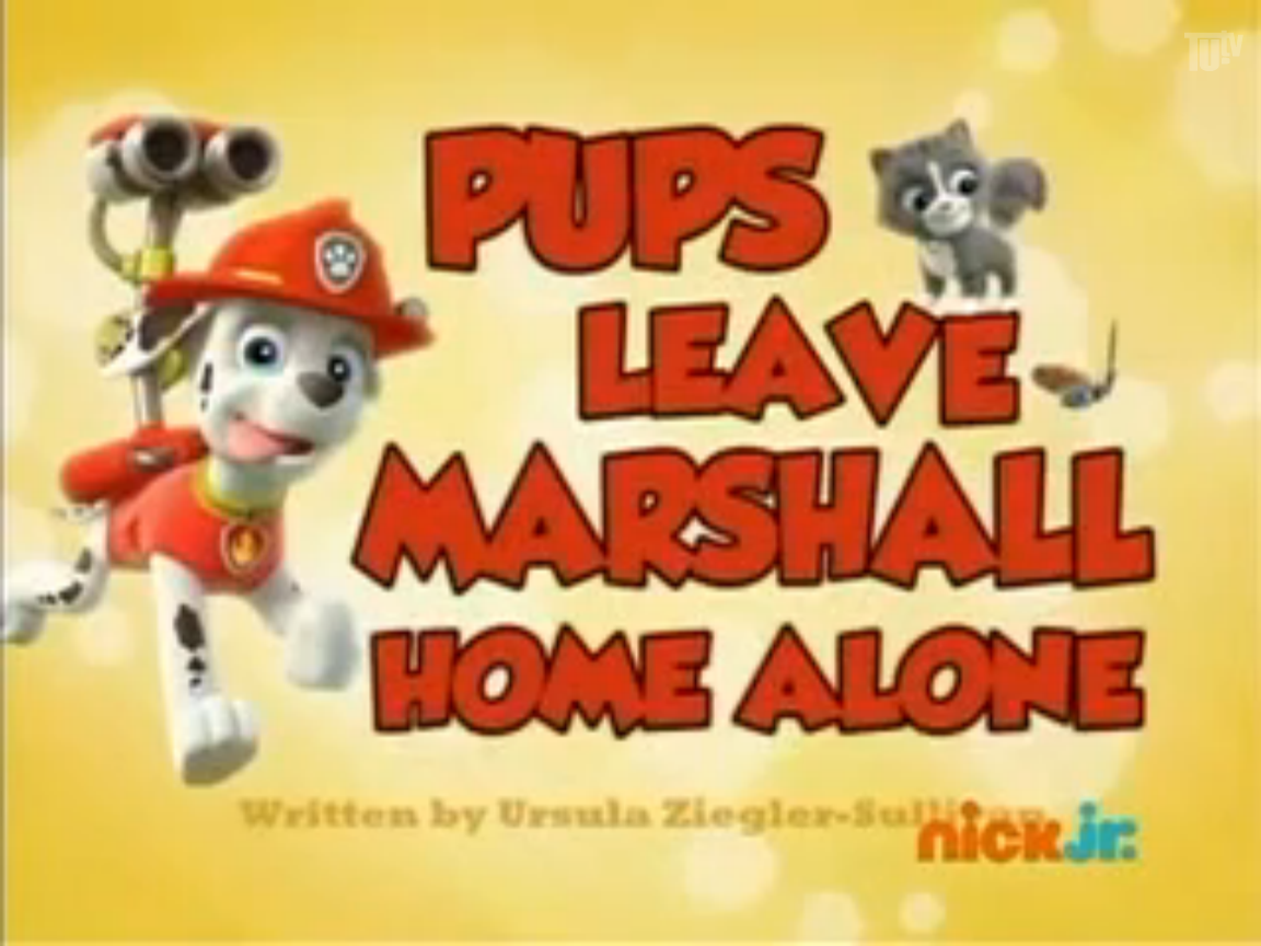 PAW Patrol, Patrulla de cachorros, Marshall se toma un descanso