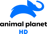 HD logo