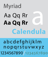 Myriad Typeface Paul Marciano Wiki Fandom
