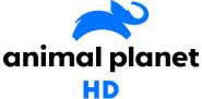 Alternative HD logo