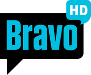 HD logo (2007–2009)