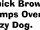 List of display typefaces