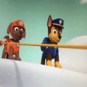 chase and zuma paw patrol