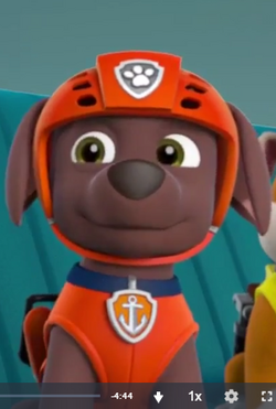 Zuma/Gallery, PAW Patrol Wiki, Fandom