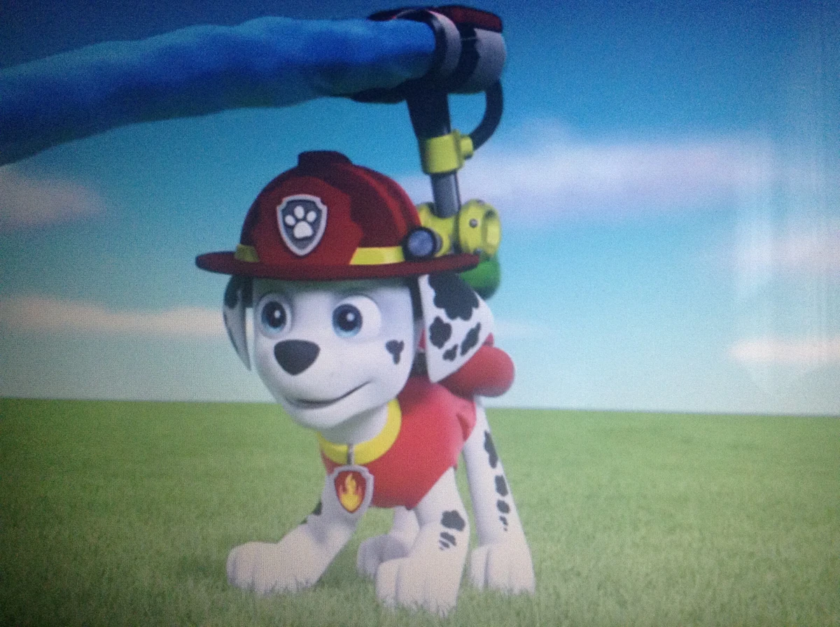 Marshall/Gallery | Paw Patrol Cast Wiki | Fandom