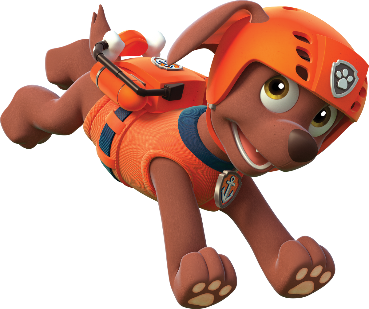 Zoomer paw patrol discount