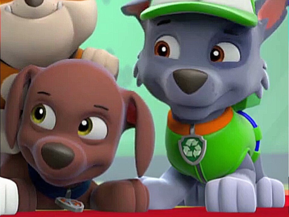 Rocky and Zuma Solve a Stinky Mystery!, PAW Patrol