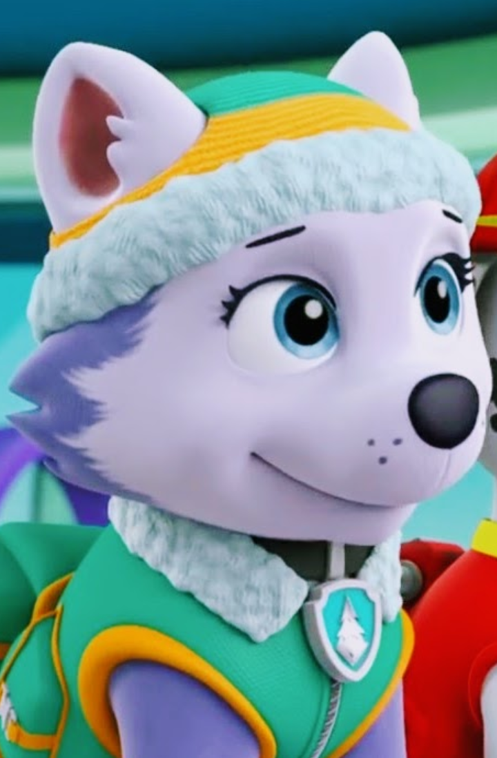 The PAW Patrol Girls, PAW Patrol Fan Universe Wiki