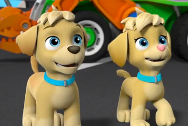 Tuck | Adventures of the PAW Patrol 2 Wiki | Fandom