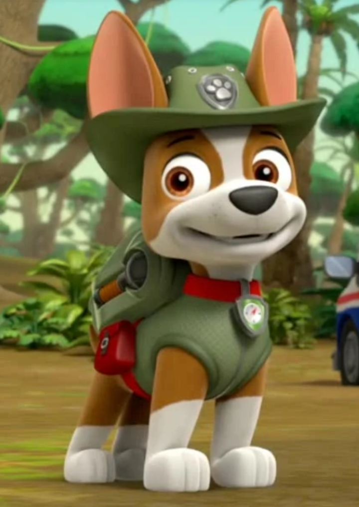 Tracker, Wiki Paw Patrol