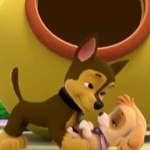 chase and skye