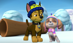 Chase X Skye Paw Patrol Fan Universe Wiki Fandom