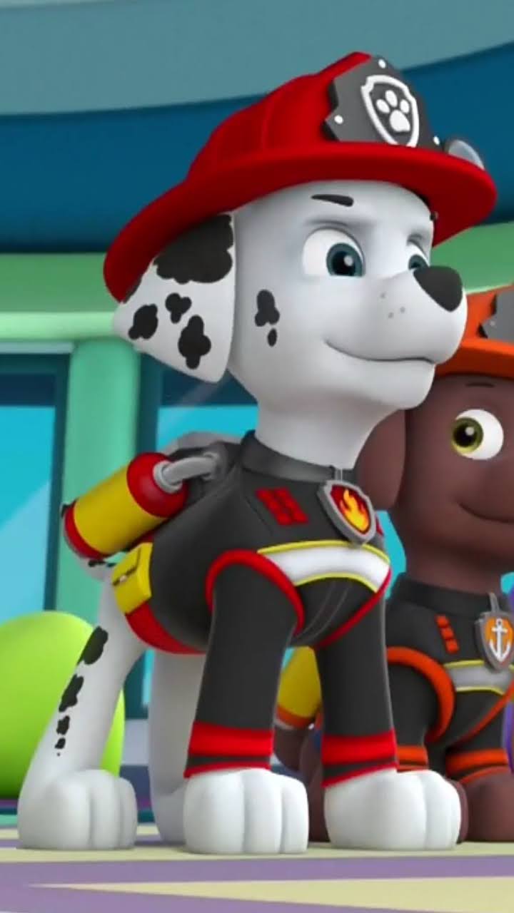 Marshall, Wiki Paw Patrol Spanish