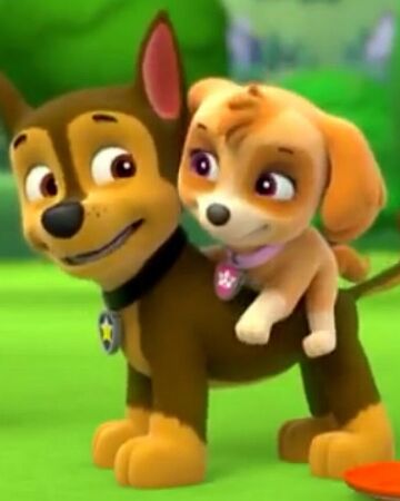 skye and chase from paw patrol