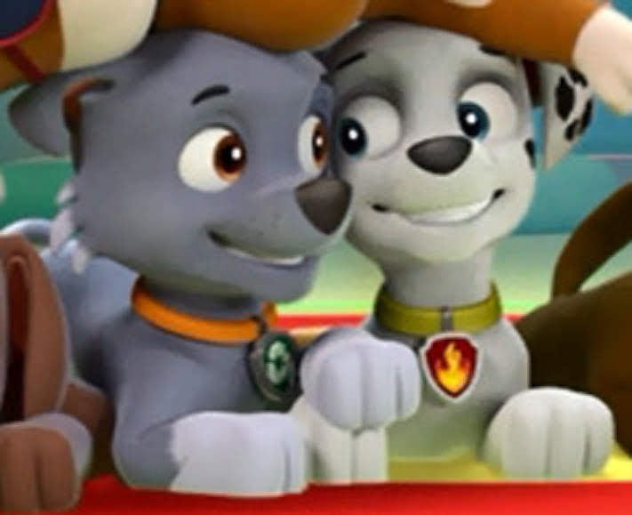 Marshall and rocky paw patrol hotsell