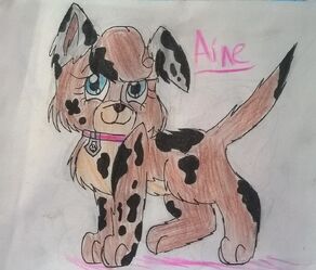 Aine