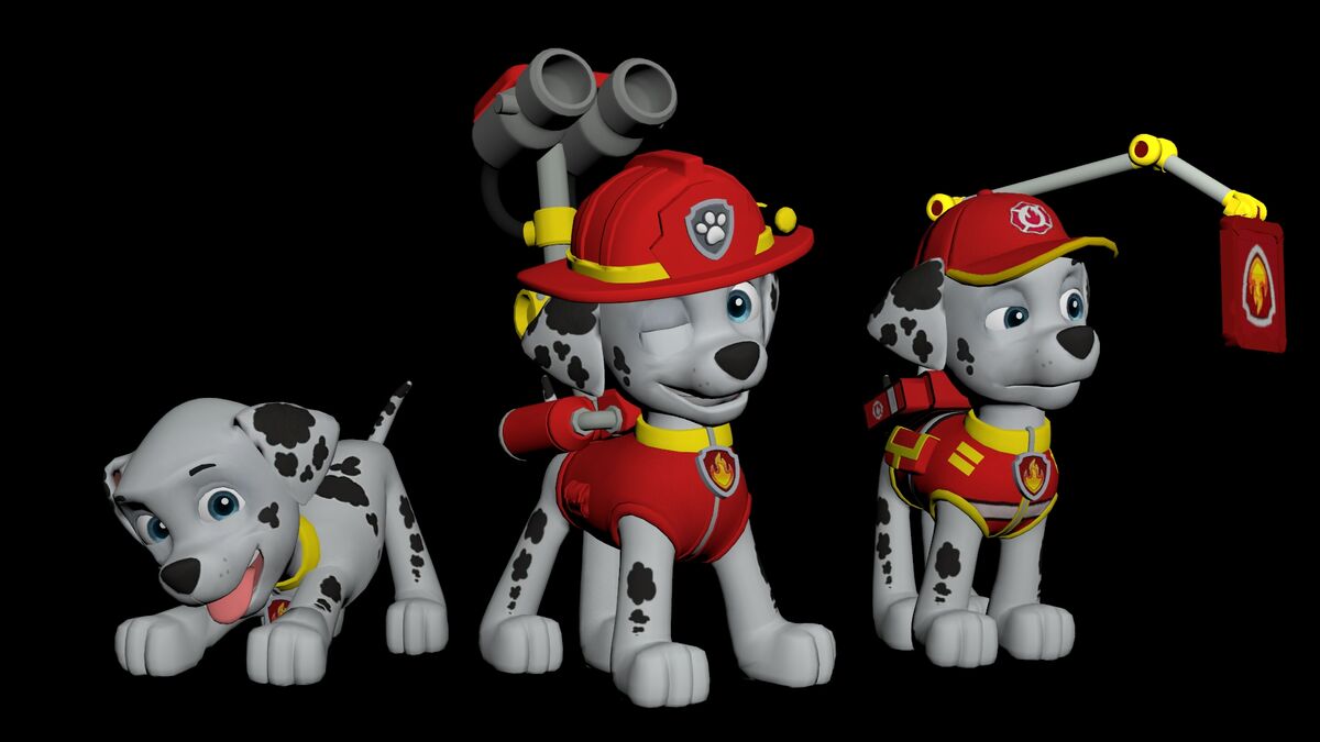 Paw patrol b and sale m