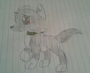Anubis3