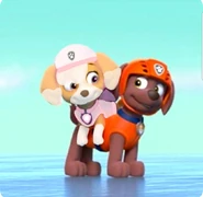 Untitled150 20250404173050.png (732 KB) Softer and Zuma