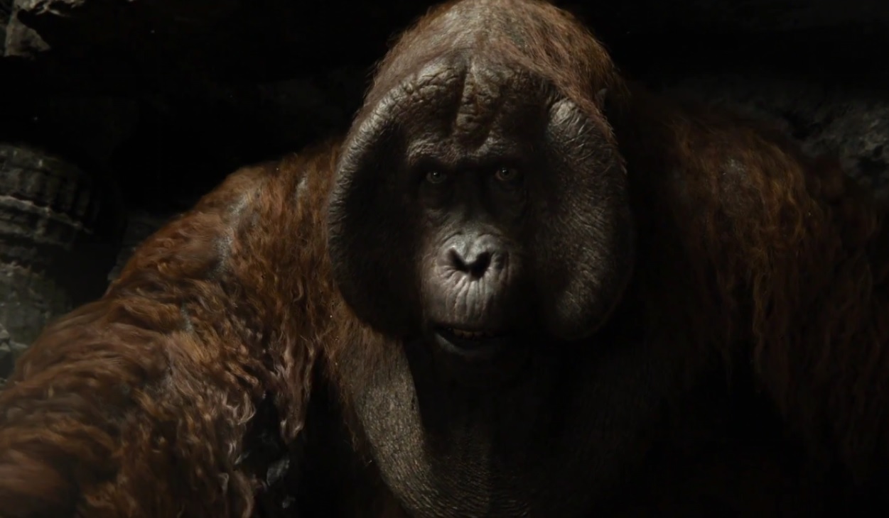 This is the scene in which Mowgli meets King Louie the Gigantopithecus, but...