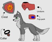 Old ref drawn by Midnightcollies