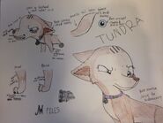 JW Files: Tundra (just for Jurassic Pup, keep that in mind, people!)