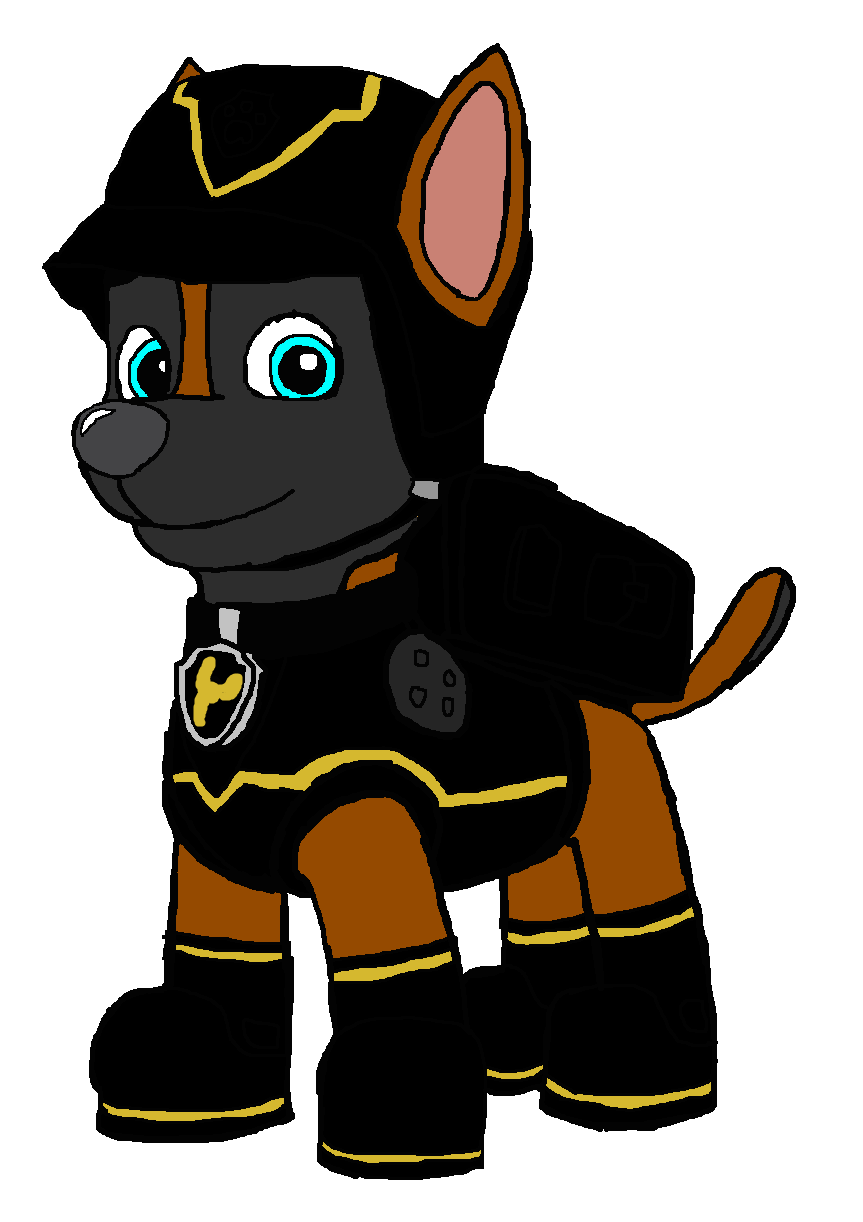 paw patrol transformers