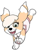 Untitled58 20241120004119.png (66 KB) Without hat and pup pack