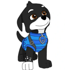 Orca | PAW Patrol Fanon Wiki | Fandom