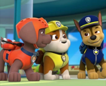 chase and zuma paw patrol
