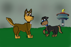 User blog:RacerTheSpeedPup/Lego Paw Patroller Prototype, PAW Patrol Fanon  Wiki