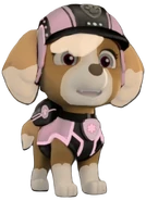 Mission PAW Softer PNG.png (601 KB) Mission PAW gear