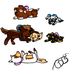 Newornpuppehsadopts