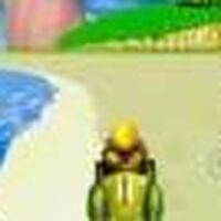 wii paw patrol game