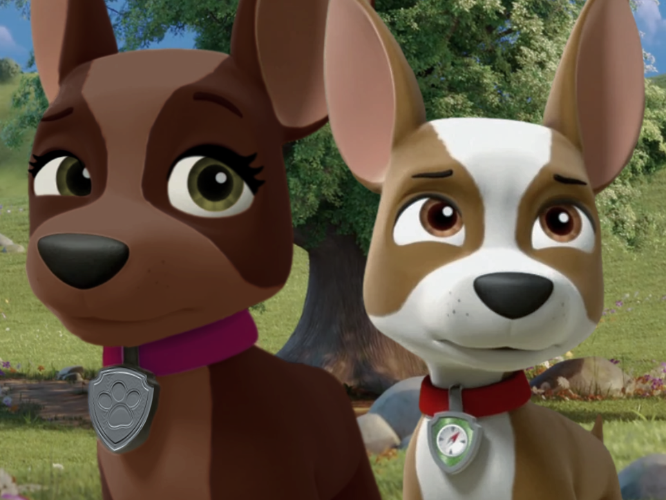 Tracker, Wiki Paw Patrol