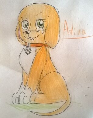 Adina