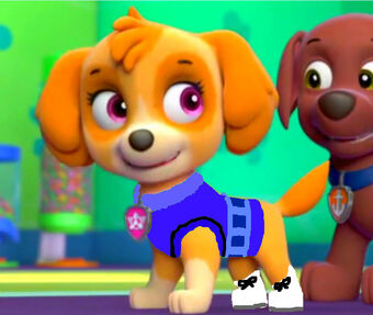 paw patrol doctor kit