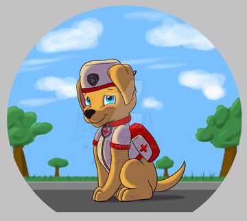 Paw sales patrol doctor