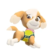 Untitled207 20250616003016.png (44 KB) Adventure Bay All-Stars outfit